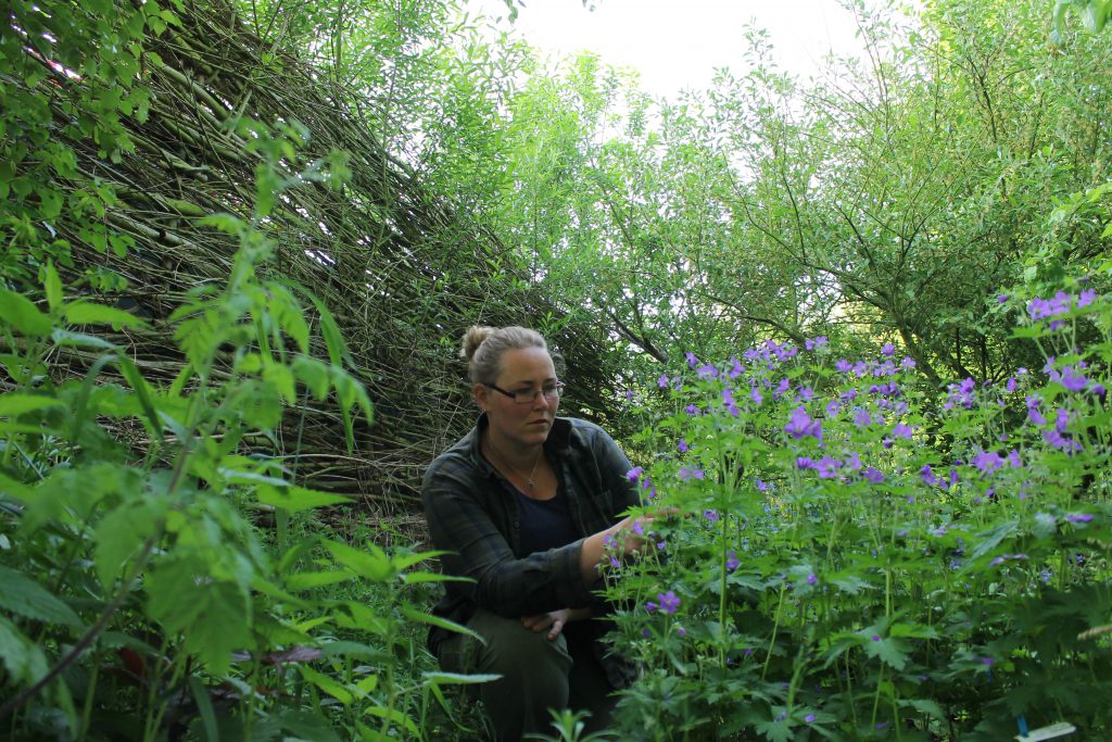 De tuinvrouw is het bedrijf van Ietje Bouma en staat voor hart voor tuinen. Tuinaanleg, tuinbeheer,tuinonderhoud op Terschelling.