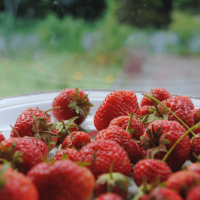 Aarbeien Zomerkoninkjes Aardbijna