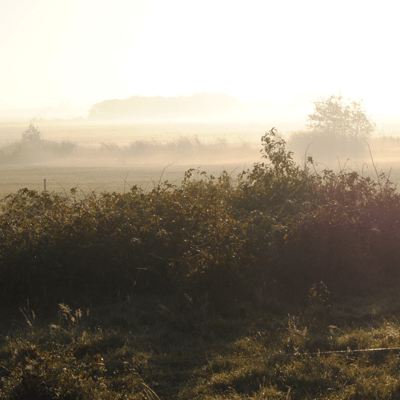 natuurlijke randen