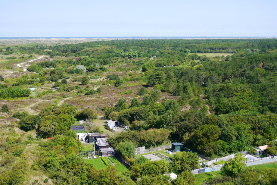 Moestuinieren op Terschelling in de duinen.