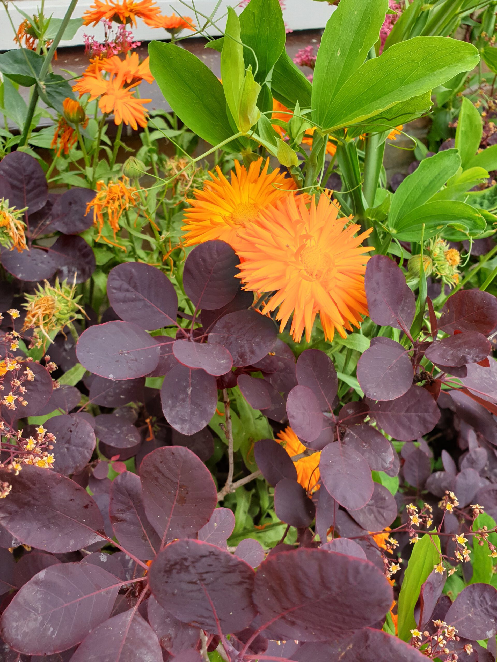 bloemen op de foto